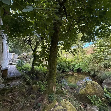 Casa Museu Lagar De Azeite * Terras de Bouro