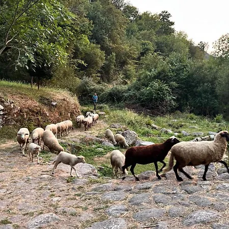 Casa Museu Lagar De Azeite Terras de Bouro