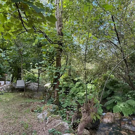 Casa Museu Lagar De Azeite