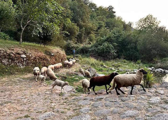 Casa Museu Lagar De Azeite Терраш-ди-Бору