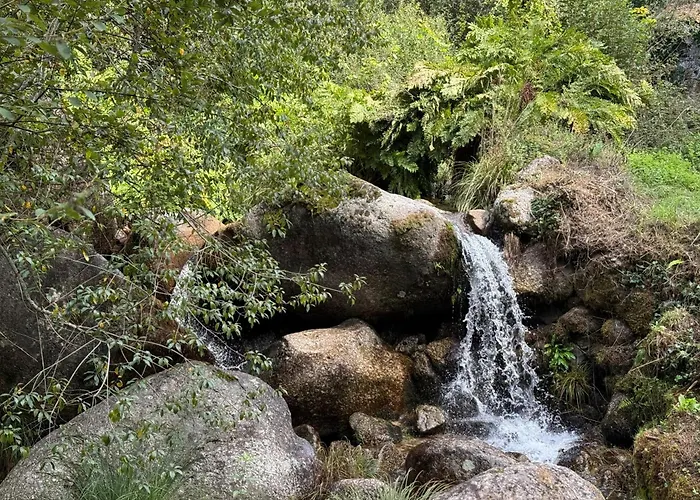 Ferienhaus Casa Museu Lagar De Azeite Terras de Bouro