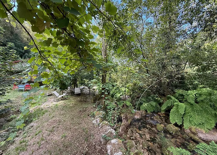 Casa Museu Lagar De Azeite Дом отдыха Терраш-ди-Бору